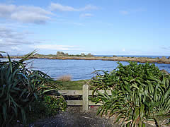 Coastal Trail