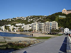 Oriental Bay Enhancement
