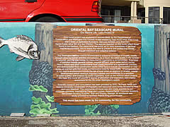 Oriental Bay Seascape Mural