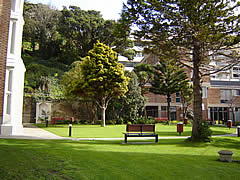 St Mary's of the Angels Gardens